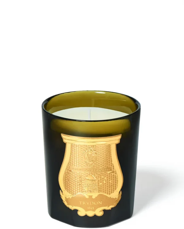 11472776-1375219393204820jpg&format=webp&auto=avif&width=985&height=985&fit=cover 11472776-1375219393204820jpg&format=webp&auto=avif&width=985&height=985&fit=cover