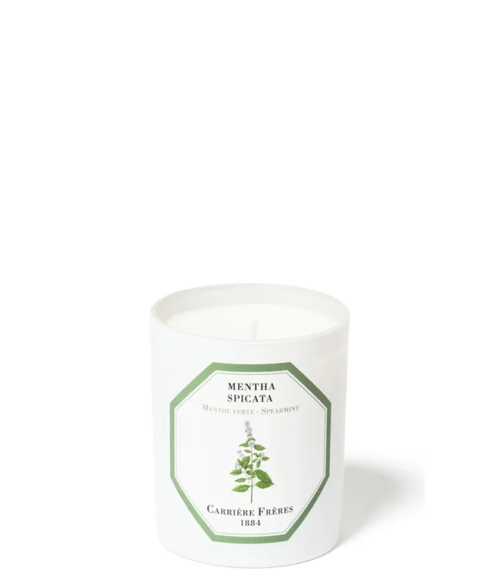 12669726-1855197901877609jpg&format=webp&auto=avif&width=985&height=985&fit=cover