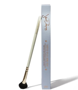 Jillian Dempsey Mini Fan Brush